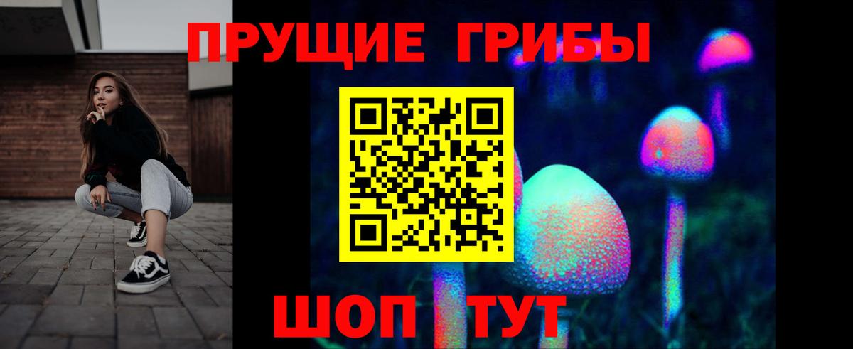 Псилоцибиновые грибы Psilocybine cubensis  Галлюциногенные грибы MAGIC MUSHROOMS  Вход с VPN  Апрелевка 